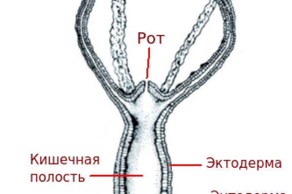 Кракен тор ссылка