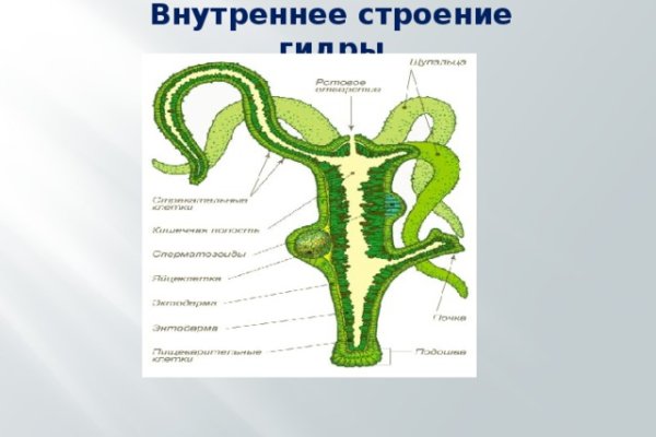 Кракен актуальная