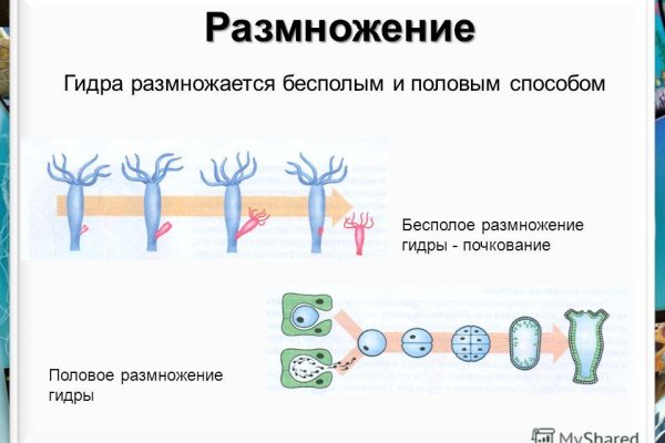 Через какой браузер можно зайти на кракен