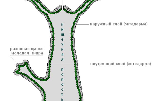 Ссылка на кракен тор kraken014 com