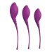 Набор из 3 фиолетовых вагинальных шариков PLEASURE BALLS EGGS KEGEL EXERCISE SET